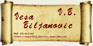Vesa Biljanović vizit kartica